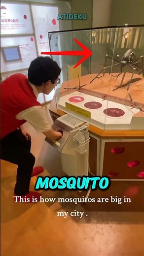 Surviving a Giant Mosquito Bite Simulation!