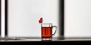 60 Transformation Quotes on Changing for the Better