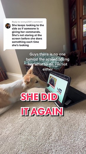 Watch Educational Videos for Children on Kiddopedia