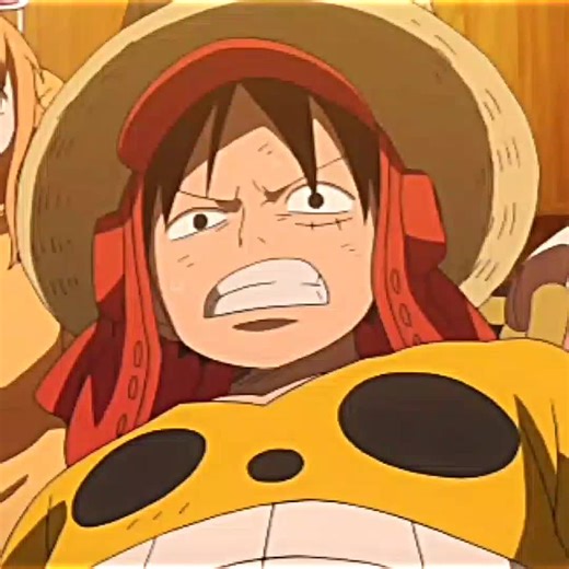 Luffy and Zoro Moments in One Piece Anime