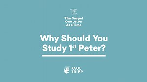 3.1K views · 173 reactions | ✅ First, we studied the Old Testament ✅ Then the New Testament ✅ Then we looked at the gospel themes in the Proverbs ➡️ And next, we'll study 1st Peter.  Join me each week for 홏홝홚 홂홤홨홥홚홡: 홊홣홚 홇홚황황홚홧 혼황 혼 홏홞홢홚. | Paul David Tripp | Facebook