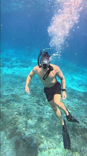 Testing the Lung Tank T-500 🤿 #watersports #underwater #ocean #fyp