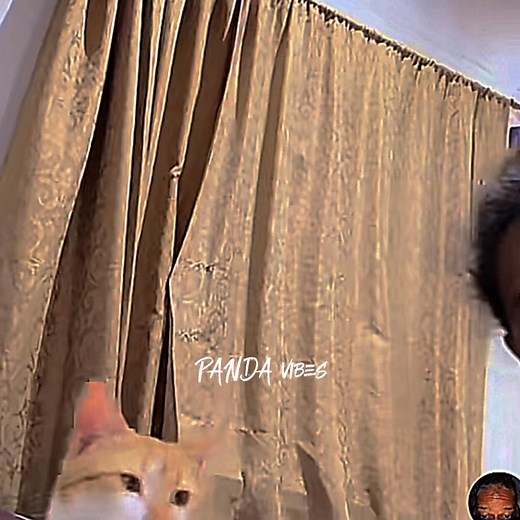 Vani Arei | WTH moments🤣😭 | PANDA_vibes