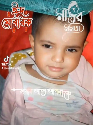 #funny #lifeisbutadream