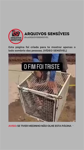 Arquivos Sensiveis on Instagram: "Se não for 💅 segue 👆🏻 O Boston Dynamics Spot, o famoso “cão-robô”, é um dos robôs mais avançados do mundo. Projetado para atuar em ambientes extremos, ele consegue navegar sozinho, evitar obstáculos e realizar tarefas que seriam perigosas para humanos. Algumas características impressionantes do Spot: Mobilidade: Spot caminha, corre e até sobe escadas com estabilidade, graças aos seus sensores de profundidade e visão 360°. Autonomia: Pode operar por até 90 min