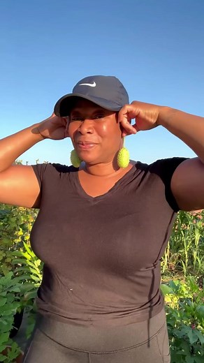 4.5K views · 164 reactions | West Indian Gherkins - These crunchy and flavorful cucumbers are a treat for the taste buds, and they're super easy to cultivate. #westindiangherkin #gherkins #burrgherkin #explorepage #freshvegetables #plantseeds #gardenseeds #gardeninspiration #theokraladyllc | The Okra Lady LLC | Facebook