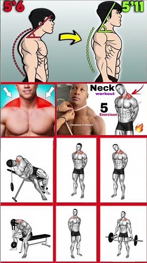 Build a STRONGER Neck: Best Workouts for Muscle Growth!