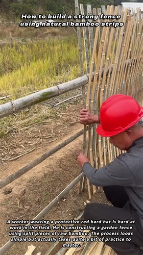 How to build a strong fence using natural bamboo strips