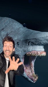 851K views · 38K reactions | Meet the Goblin Shark  | Odd Danny | Facebook