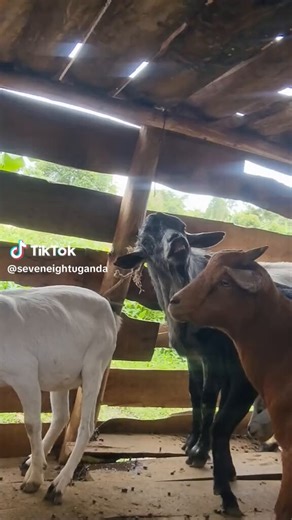 What is happening here