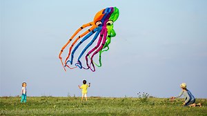 Best octopus kite