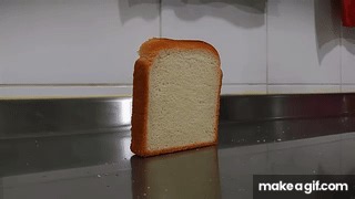Toast falling over.gif on Make a GIF