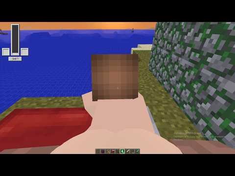 I ADDED WOMAN to MINECRAFT JENNY (no blurr)