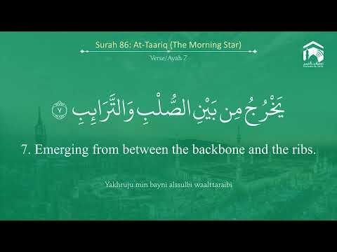 Sheikh Yasser Al Dosari - Surah 86 At Tariq / الشيخ ياسر الدوسري - سورة ٨٦ الطّارق