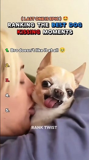 The best dog kissing moments