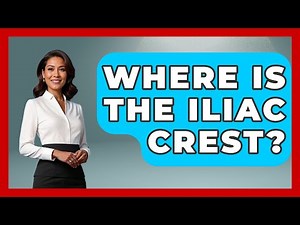 Where Is The Iliac Crest? - The Operating Table