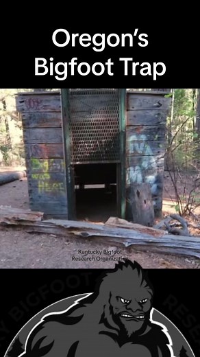 The worlds only legitimate Bigfoot trap is now a tourist attraction in Oregon! #bigfoot #hunting #history #didyouknow #facts