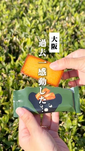 DROOLY（ドローリー）【公式】｜チーズwithハニーの絶品スイーツ。 on Instagram: "Repost @osaka.gurume.umauma 様 🧀ドローリーキャンペーン詳細🧸 DROOLYから“ありがとう”の気持ちを込めて🎉 ①ＳＮＳキャンペーン 期間中、購入時にこちらの画面を提示し「SNSを見た」とお伝えいただいた方に、 フィナンシェ〈ゴルゴンゾーラ with ハニー〉を1個プレゼント🎁 ◇開催期間：11月1日(土)〜11月18日(火) （無くなり次第終了） ＼さらに、店頭キャンペーンも実施！／ ②クマの日＆チーズの日キャンペーン Ｗポイントキャンペーン：11月11日(火)〜11月18日(火) 期間中は、ドローリーのポイントカードを2倍で付与いたします！ コクのあるゴルゴンゾーラにとろけるハチミツ。 DROOLYらしい“甘じょっぱい幸せ”を、この機会にお楽しみください🧸💛 11月の館リニューアルで話題が集まる中、 変わらず愛され続けるDROOLYの味を、ぜひもう一度。 #DROOLY #ドローリー #チーズスイーツ #フィナンシェ #ゴルゴンゾーラ #