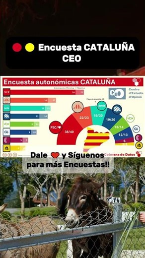 🔴🟡 Encuesta CATALUÑA CEO 🟥 PSC 25% 🟨 ERC 15% 🟦 Junts 14% 🟦 AC 13% 🟩 Vox 10% 🟦 PP 9% 🟪 C 6% 🟨 CUP 5%