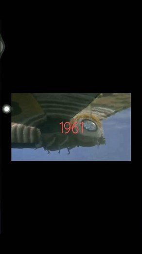 Evolution of Mothra 1961-2019#mothra#godzilla#evolution