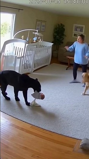 📹 CCTV Footage: Dogs Protecting Babies from Wild Animals! 🐕👶