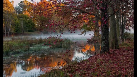 **Contest " Autumn ": Winners and mentions. Results posted below** ** >>>>>