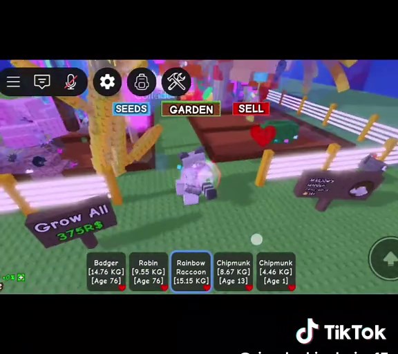 Trading Rainbow Raccoon: Strategies and Tips