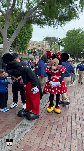 Hilarious Disneyland Moments That Will Make You Smile
