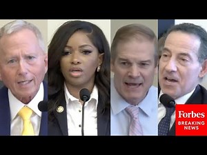 Sparks Fly In Fiery House Judiciary Committee Hearing In Wake Of Deadly ICE Shooting