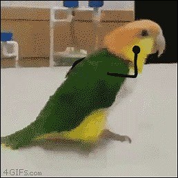 1K views · 38 reactions | ...Our reaction when we hear that you've already downloaded the FlixBus app on your new phone from Santa  Haven't downloaded it yet?  Time to do so now - we don't want you to miss out on our upcoming special app deals!   bit.ly/XmasApp-EN | FlixBus | Facebook