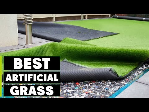 Top 10 Best Artificial Grass in 2024 | Detailed Reviews & Buyer's Guide