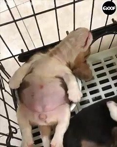 603K views · 4.5K shares | Saturday morning MOOD  | Action News Jax | Facebook