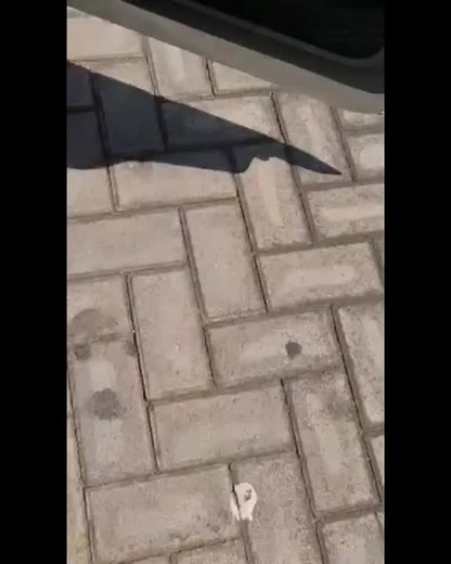 The Cleanest Mk1🔥. #tiktoksa#viral#fypシ#fyp#mk1