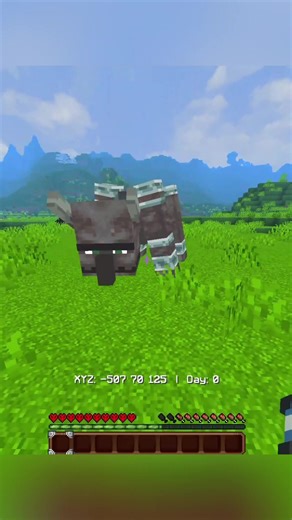 Hướng dẫn đánh bại cuộc xâm lược trong Minecraft