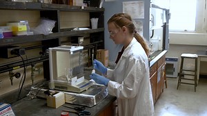 Metabolomic Analysis of Barley by Gas Chromatography/Mass Spectrometry