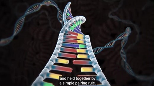 Genome Editing with CRISPR-Cas9