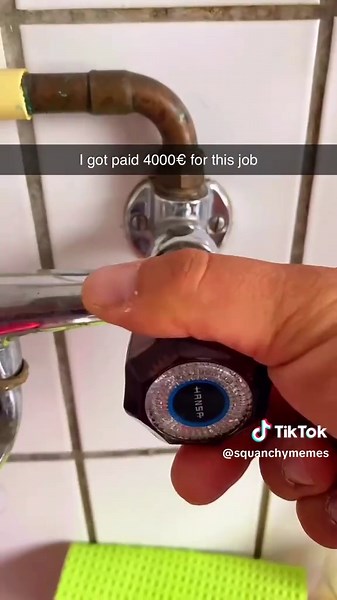 Showcasing Artistic Fish Models on Porsche 911