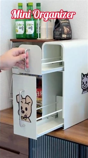 Mini Organizer