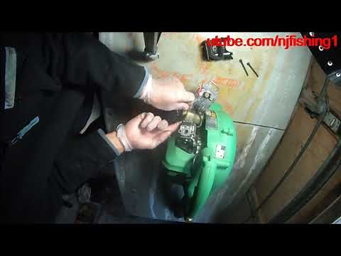 Hitachi leaf blower carburetor cleaning (1 of 3) disassemble