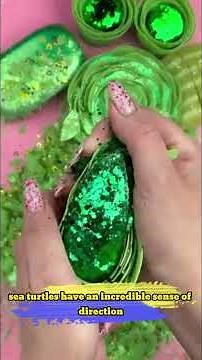 Turtle Tales: 10 Amazing Truths About These Timeless Creatures🐢 #incrediblefacts #funny