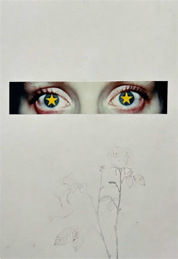 fairy gothica #gothicgirl #darkfeminine #romantasy #faeriecore #glitchwave