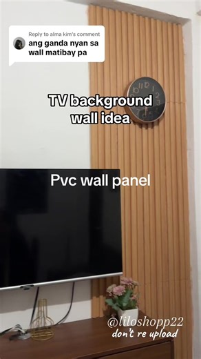 PVC Wall Panel TV Background Ideas