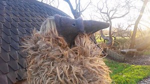 Ribe VikingeCenter on Reels