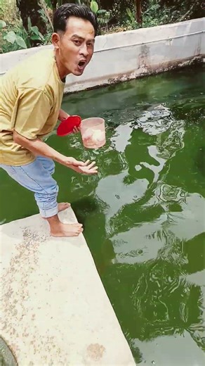 time to feed the fish #shorts #funny #subscribe #trending