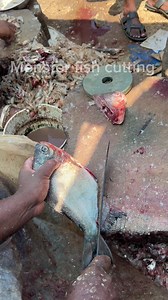 1.2M views · 3.3K reactions | Instant fish cutting skills. #marinefish #monsterfishcutting #bigfish #fishcuttingchallenge #fishcuttingskills #facebookreels | Monster Fish Cutting | Facebook