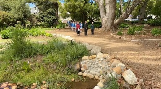 Springfield Convent School on Reels