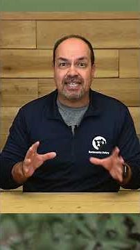 The BEST Bird-In-Flight Shutter Speeds! #shorts #birdphotography #birds #BIF #bird-in-flight