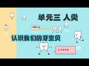 3年级 || 科学 || 单元三 || 牙齿