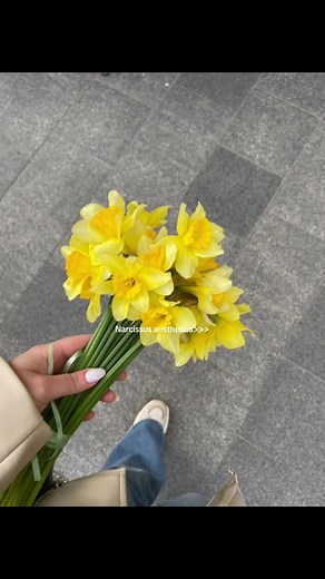 Exploring Narcissus Aesthetics in Yellow Flowers: A Visual Delight