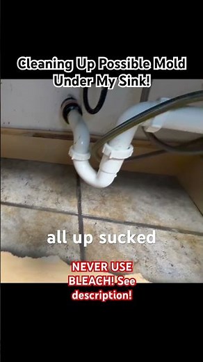 Cleaning Up Possible Mold Under My Sink! #diy #organic #cleaning #cleaninghacks